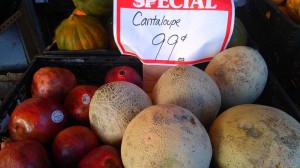 Cantaloupe