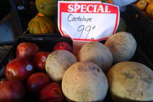 Cantaloupe