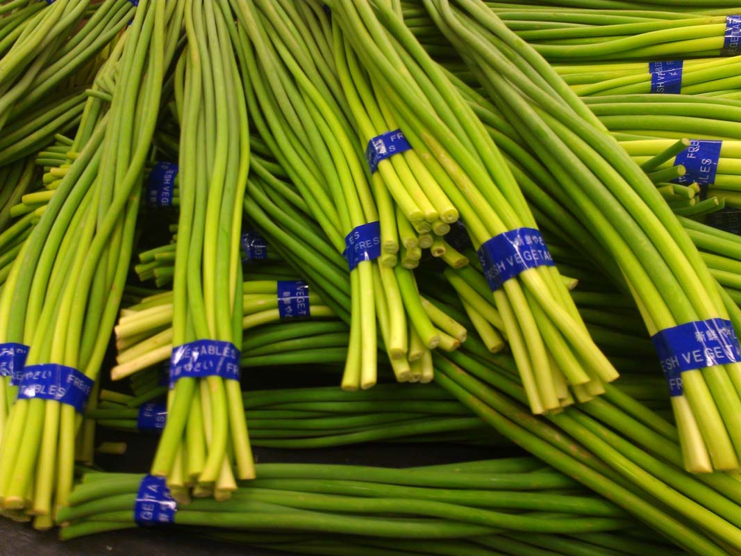 Garlic Sprout Leek Bud For Less Than One Dollar