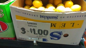 lemon persia foods