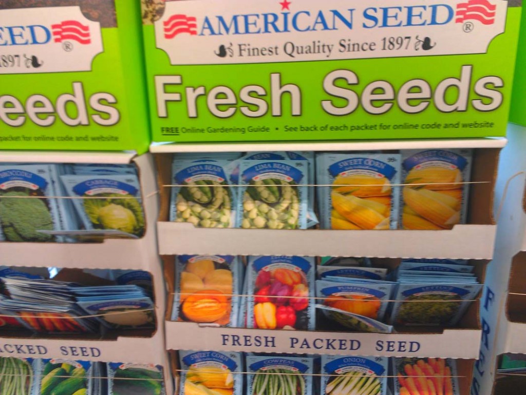 American Seeds