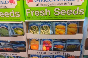 american seed