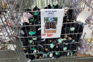 black puffy bear price