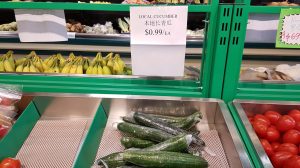 local cucumber