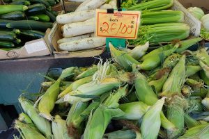 corn on the cob one dollar