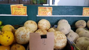 honey dewand hami melon