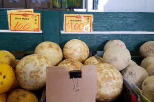 honey dewand hami melon