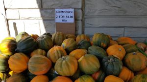 acorn-squash