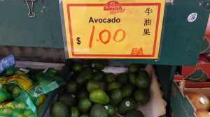 avocado